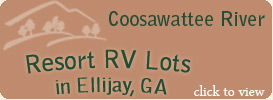 RV LOTS in Coosawattee, GA